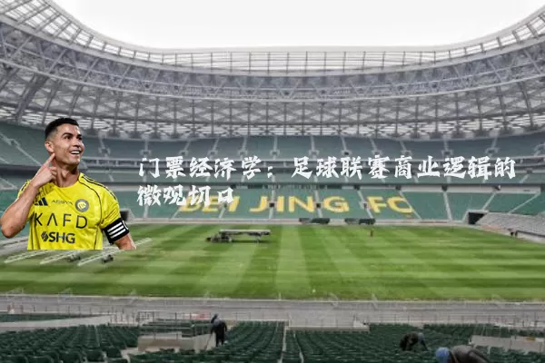 门票经济学:足球联赛商业逻辑的微观切口